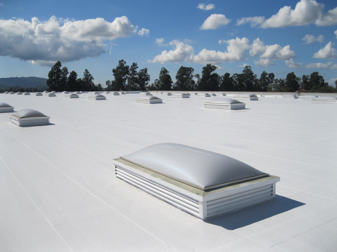 A large white TPO roof featuring multiple skylights for natural lighting.
